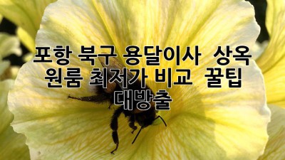포항 북구 용달이사 🚚 상옥 원룸 최저가 비교 & 꿀팁 대방출! 🍯